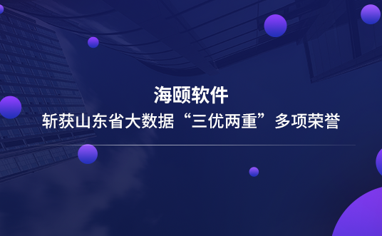 东升国际软件斩获山东省大数据“三优两重”多项声誉