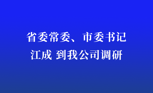 省委常委、市委书记江成到我公司调研